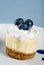 Closeup Cheesecake with fresh blueberries an cream