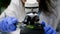 Closeup of chemist researcher hands looking at leaf sample