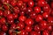 Closeup cherries on background