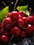 Closeup of cherries with deep droplets - a foodie\\\'s paradise