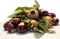 Closeup of chestnuts and common medlars under the lights isolated on a white background