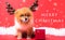 Closeup Chihuahua dog funny portrait in reindeer, christmas deer costume