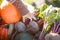 Closeup. child hand and harvested different vegetables, autumn day.