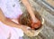 Closeup child hand keeping chicken eggs in farm