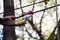 Closeup of child hand using a safety climbing carabiner