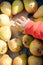 Closeup of child\'s hand taking pear. Store display full of red yellow fruits on box.