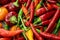 Closeup chili pepper bright and sharp red and orange background