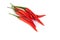 Closeup chilli pepper on white background, raw food ingredient concept