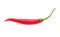 Closeup chilli pepper on white background, raw food ingredient concept