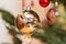 Closeup of christmas tree bauble hanging on the branch