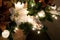 Closeup of Christmas Tree Decor Oyster Shell