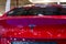 Closeup chromium-plated Llgotype Tesla Motors on red rear doors