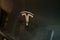 Closeup chromium-plated Logotype Tesla Motors on silver hood, most popular passenger electric car in world, Elon Musk, Tesla is