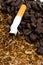 Closeup of cigarettes detail on tobacco background