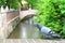 Closeup of the city pigeon standing on the wall over the blurred Certovka channel in the background, Kampa Park, Prague