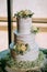 Closeup of classy and elegant sweet white engagement cake with natural flowers in front of windows