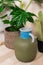 Closeup of a clay painted terracotta jug beside a potted plant and a cactus