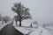 Closeup of clean and snow-covered roads, winter countryside in fog