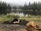 Closeup of coals and woods of a bonfire on the ground near a lake covered in the fog