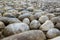 Closeup cobblestone, pebble old pavement