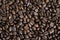 Closeup of coffee beans.
Suitable for a background.