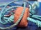 Closeup of colorful fisher nets and fisher rope