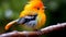 Closeup of a colorful little bird sitting on a tree branch looking to the side. Wildlife image of a beautiful furry small bird