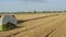Closeup combine harvest wheat agriculture field storks