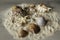 Closeup of composition of exotic seashells and starfish on sand