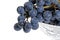 Closeup concord grapes