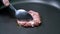 Closeup cooking pork burger in frying pan for cooking,slow motion movement