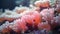 Closeup of coral polyps on a reef absorbing carbon