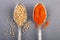 Closeup coriander seeds and ground paprika in teaspoons