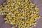 Closeup corn grains on wood background