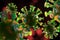 Closeup Coronavirus Cells 3D Illustration