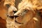 Closeup of couple of lions