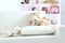 Closeup.cozy children`s room.photo with copy space. the concept of the care
