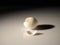 Closeup of a cracked empty egg shell on the table under the lights