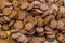 Closeup of crispy chocolate chip cookies cookies for sale at open air market