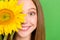 Closeup cropped photo of young hide eye toothy beaming smiling teenager girl hold yellow summer sunflower isolated on
