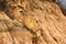 Closeup of crumbling dirt mountainside. Brown textured stone or clay cliff wall. Rough orange mountain environment