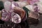 Closeup crystals of amethyst, fluorite, jasper and rose quartz o
