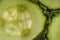 Closeup cucumber slice. Transparent texture of cucumber