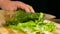 Closeup of cut green salad leaf on cutting board