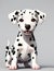 Closeup Cute baby dog isolated.young puppy