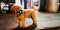 Closeup of a cute Cavapoo dog playing a toy ball
