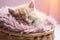 closeup cute ginger little cat sleeping on a wicker basket on a blurred background