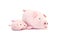 Closeup cute pink pig doll with little pig isolated on white background