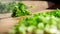 Closeup of cutting the green onion, soft focus