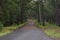 Closeup of damp rural road with sealed and dirt sections